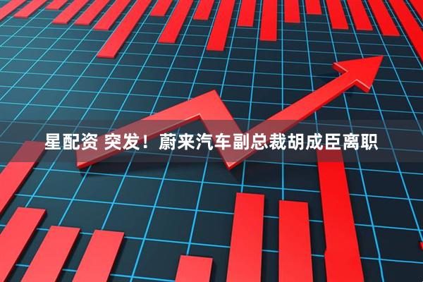星配资 突发！蔚来汽车副总裁胡成臣离职