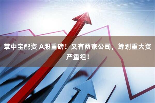 掌中宝配资 A股重磅！又有两家公司，筹划重大资产重组！