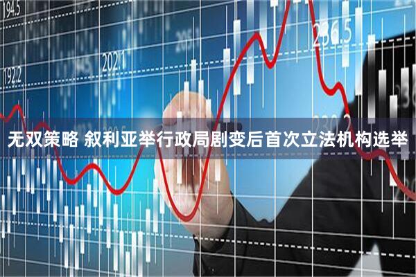 无双策略 叙利亚举行政局剧变后首次立法机构选举