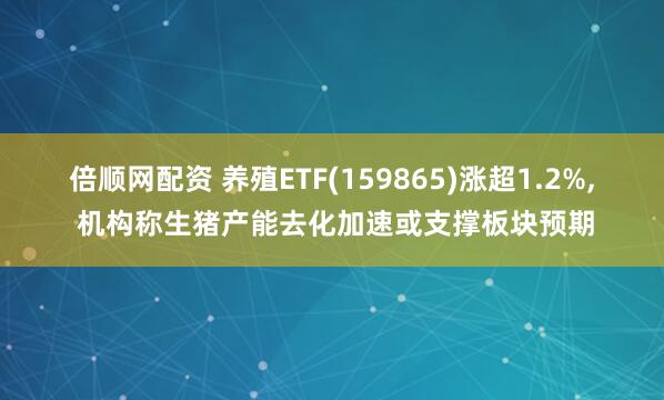 倍顺网配资 养殖ETF(159865)涨超1.2%, 机构称生猪产能去化加速或支撑板块预期