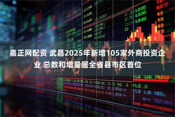 嘉正网配资 武昌2025年新增105家外商投资企业 总数和增量居全省县市区首位