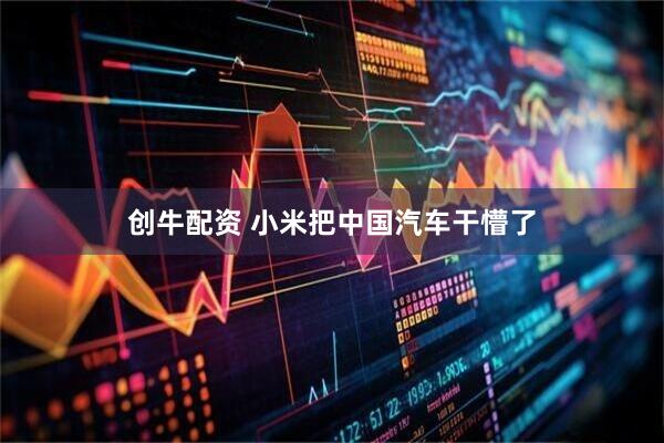 创牛配资 小米把中国汽车干懵了